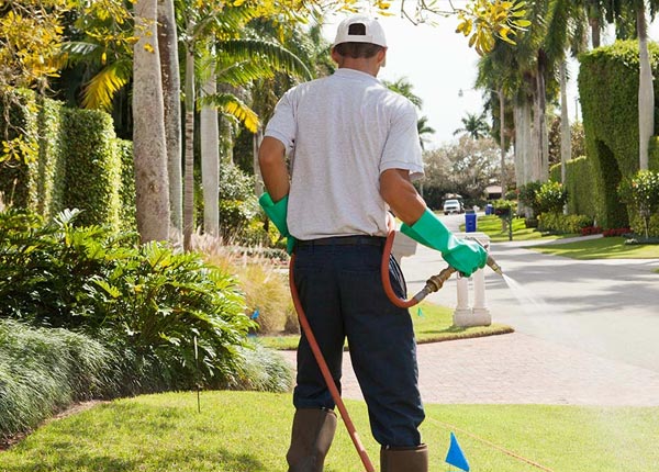 About Springbrook WI Pest Control